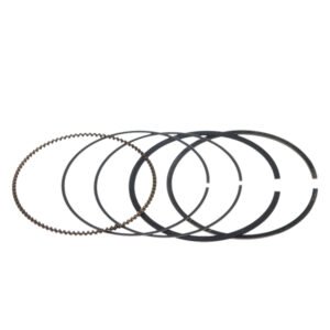 ANEL P/ PISTAO RIK CB 250F TWISTER 16/22 0.25