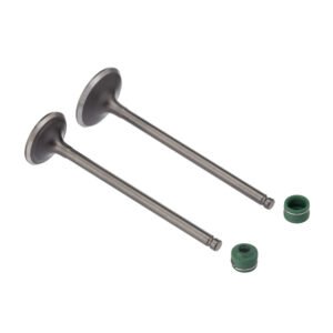 VALVULA E RETENTOR KIT (4PCS) WW3 CG 125 02/08