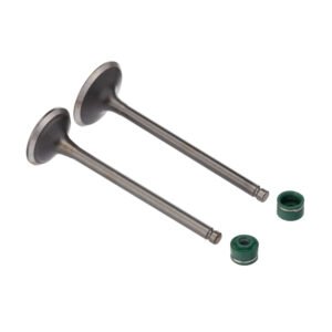 VALVULA E RETENTOR KIT (4PCS) WW3 CBX 200 94/02