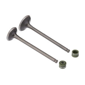 VALVULA E RETENTOR KIT (4PCS) WW3 CG 125 92/01