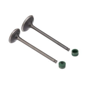 VALVULA E RETENTOR KIT (4PCS) WW3 CG 150 04/ -BROS 150 06/15