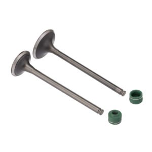 VALVULA E RETENTOR KIT (4PCS) WW3 CBX 250 - CB 300R