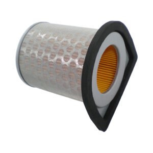 ELEMENTO FILTRO DE AR EKSIM CBX 250