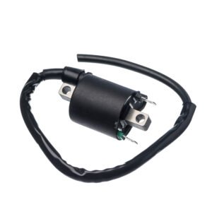 BOBINA IGNICAO CONDOR 12V CG 150 2009/