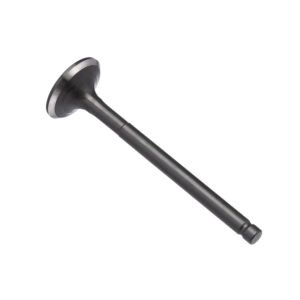VALVULA ESCAPE KMP BIZ 125 05/24