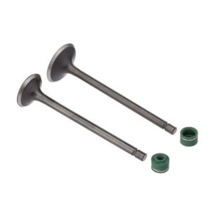 VALVULA E RETENTOR KIT (4PCS) WW3 CG 125 76/91