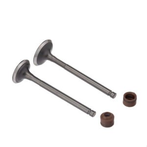 VALVULA E RETENTOR KIT (4PCS) WW3 BIZ 125 05/24 (MARROM)