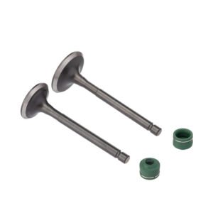 VALVULA E RETENTOR KIT (4PCS) WW3 YBR 125 00/ - XTZ 125 03/
