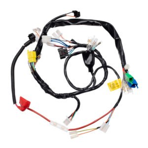 FIACAO PRINCIPAL (CHICOTE) CONDOR INTRUDER 125 08/10