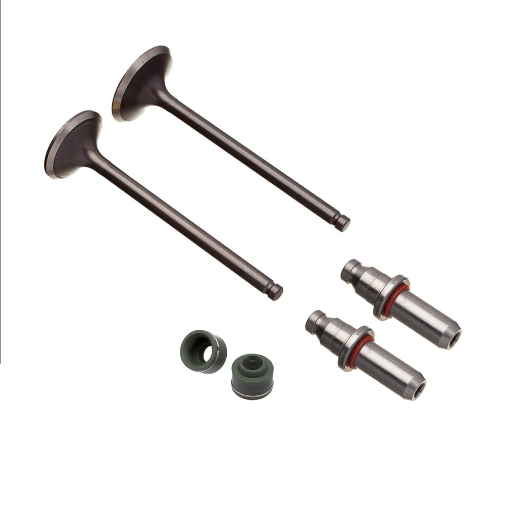 WW3 Válvula Guia e Retentor Kit 6PCS Honda CBX 200 - Kit