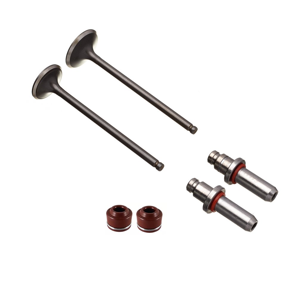 WW3 Válvula Guia e Retentor Kit 6PCS CG 125 2002 2008 - Kit
