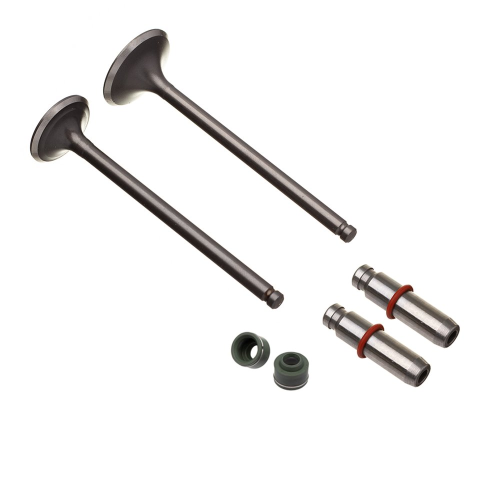 WW3 Válvula Guia e 6PCS CG 125 1992 2001 0.10MM - Kit