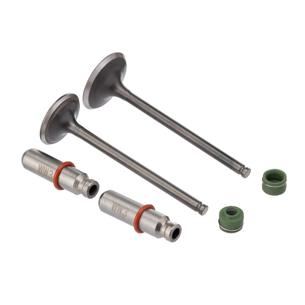 WW3 Válvula Guia e 6PCS CG 150 2004 2008 +0.20 V - Kit