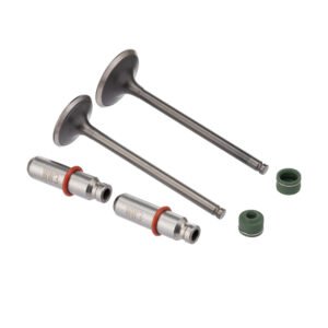 WW3 Válvula Guia e 6PCS CG 150 2004 2008 +0.30 V - Kit