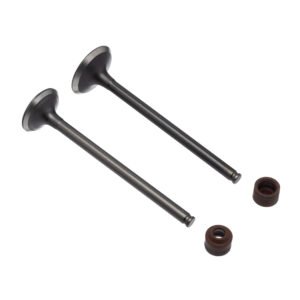WW3 Válvula e Retentor 4PCS CB 250 2016 2022 Marrom - Kit