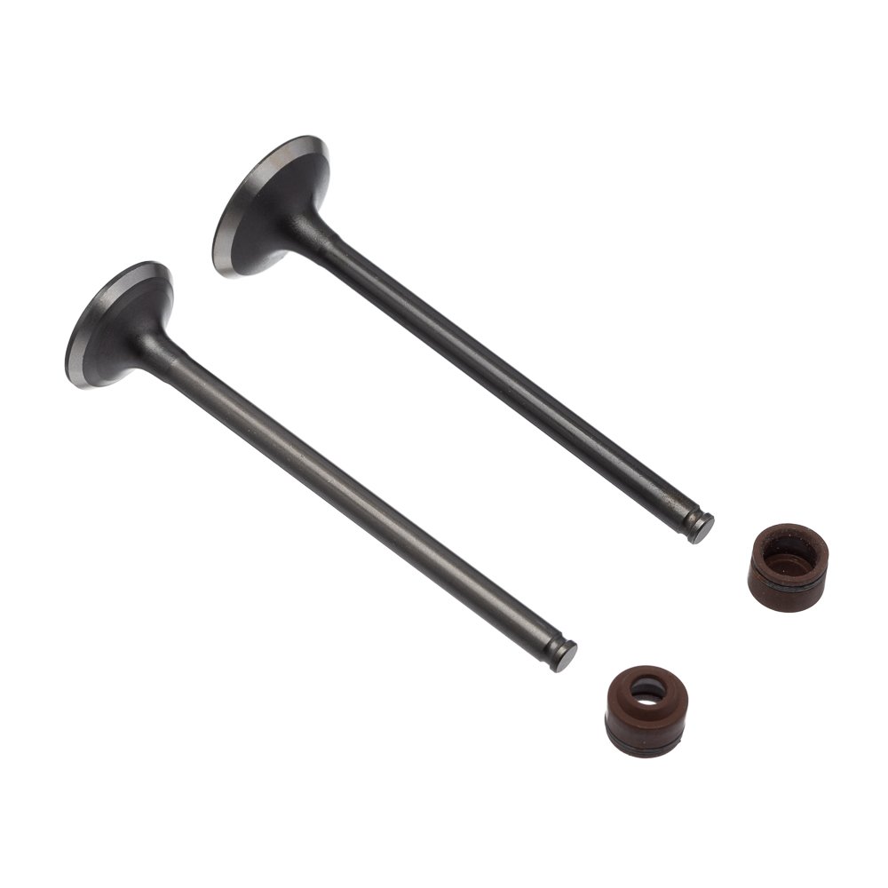 WW3 Válvula e Retentor 4PCS CB 250 2016 2022 Marrom - Kit