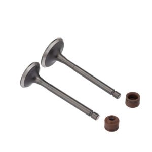 WW3 Válvula e Retentor Kit 4PCS YBR 125 2000 Marrom - Kit