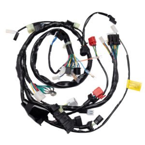 CONDOR Fiacao Principal Chicote Honda CG 150 FAN Esi 2010