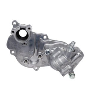 WW3 Bomba de Agua Honda LEAD 110 2009 a 2015 - Kit