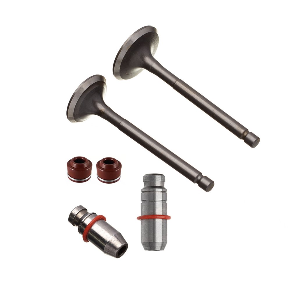 WW3 Válvula Guia e 6PCS YBR 125 2000 2016 XTZ 125 - Kit