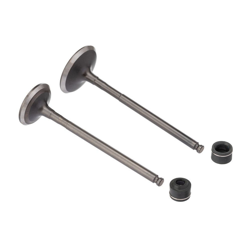 WW3 Válvula e Retentor Kit 4PCS FAZER 150 2014 150 - Kit