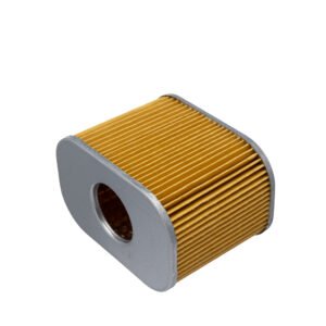 EKSIM Elemento Filtro de Ar Suzuki TVS 110I 2022+