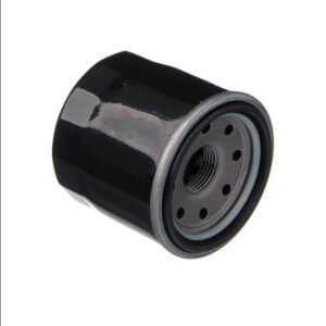 EIS Filtro de Oleo Suzuki