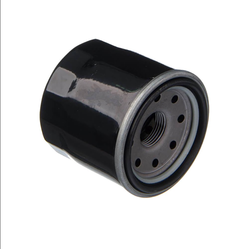 EIS Filtro de Oleo Suzuki