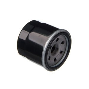 EIS Filtro de Oleo Suz-bandit 650S 09-10 Bandit N1200 04-06