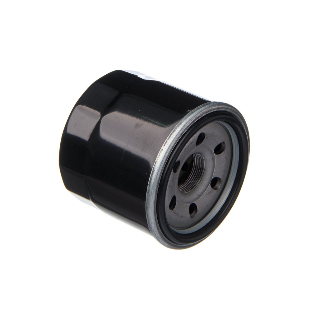 EIS Filtro de Oleo Suz-bandit 650S 09-10 Bandit N1200 04-06