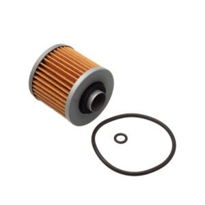 EIS Filtro de Oleo YAM-XT660R 04-10 XT660Z 08-10 XT660X