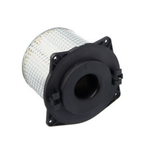 EIS Elemento Filtro de Ar SUZ-GSX750F 89-09