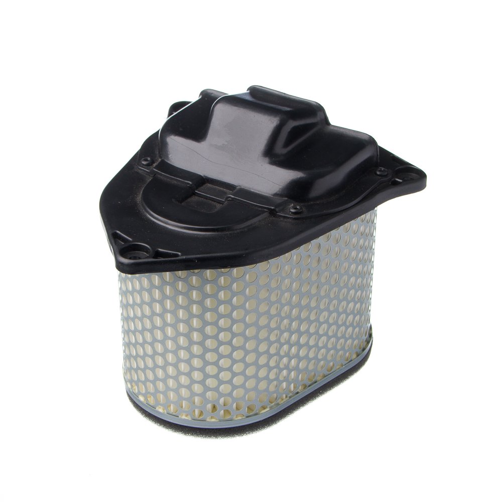 EIS Elemento Filtro de Ar Suz-boulevard C1500 05-09